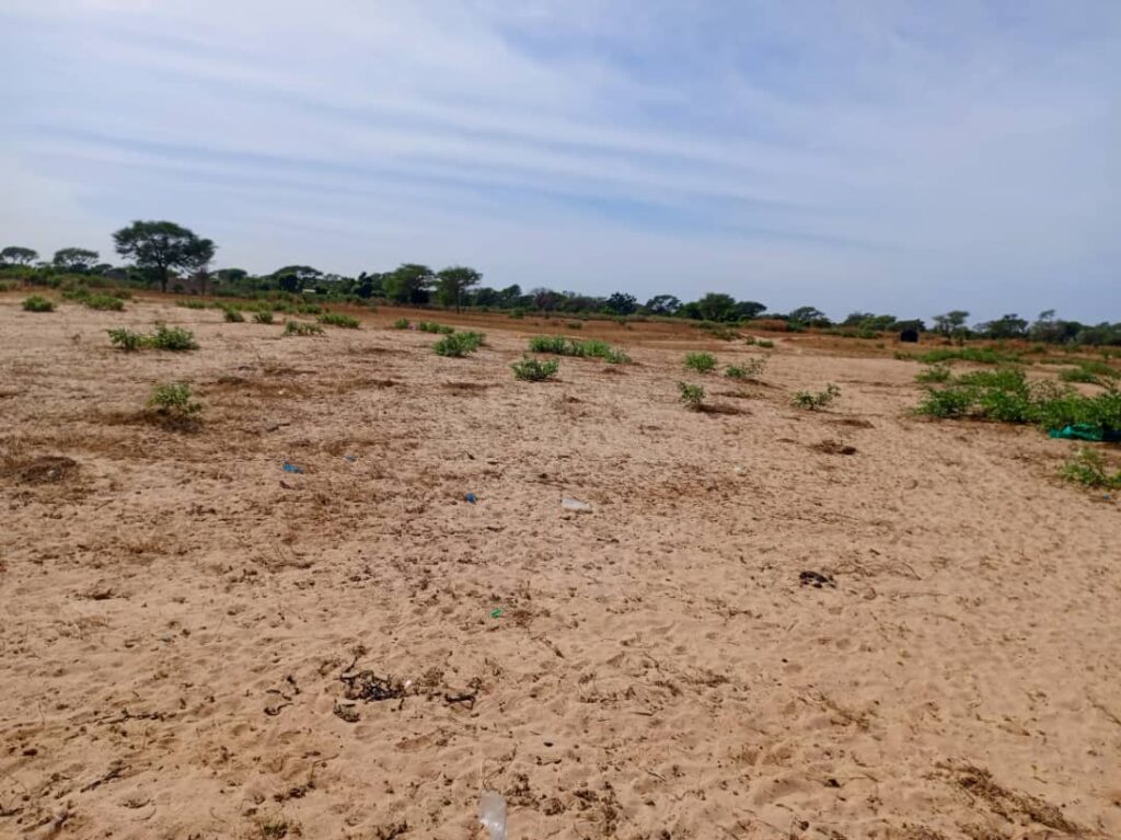 Terrain Agricole de 2,08 Hectares vers Tassette – Thiès