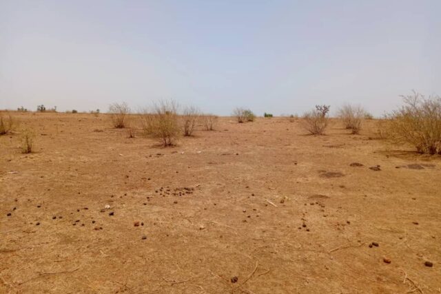 Terrain Agricole de 9000m² vers Tassette – Thiès