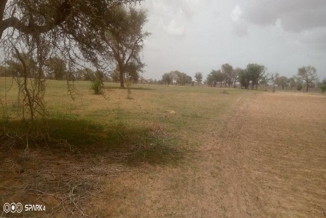 Terrain Agricole de 3 Hectares vers Koul – Tassette