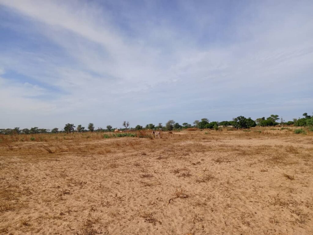 Terrain Agricole de 1,10 Hectare vers Tassette – Thiès