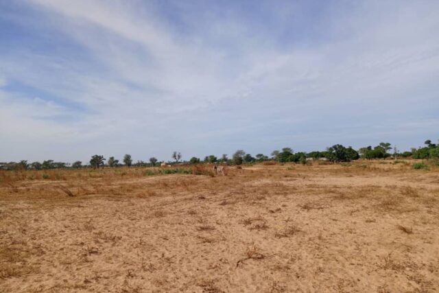 Terrain Agricole de 1,10 Hectare vers Tassette – Thiès