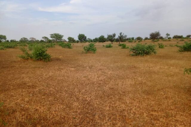 Terrain Agricole de 4,28 Hectares au bord de la route vers Sagatta – Kébémer