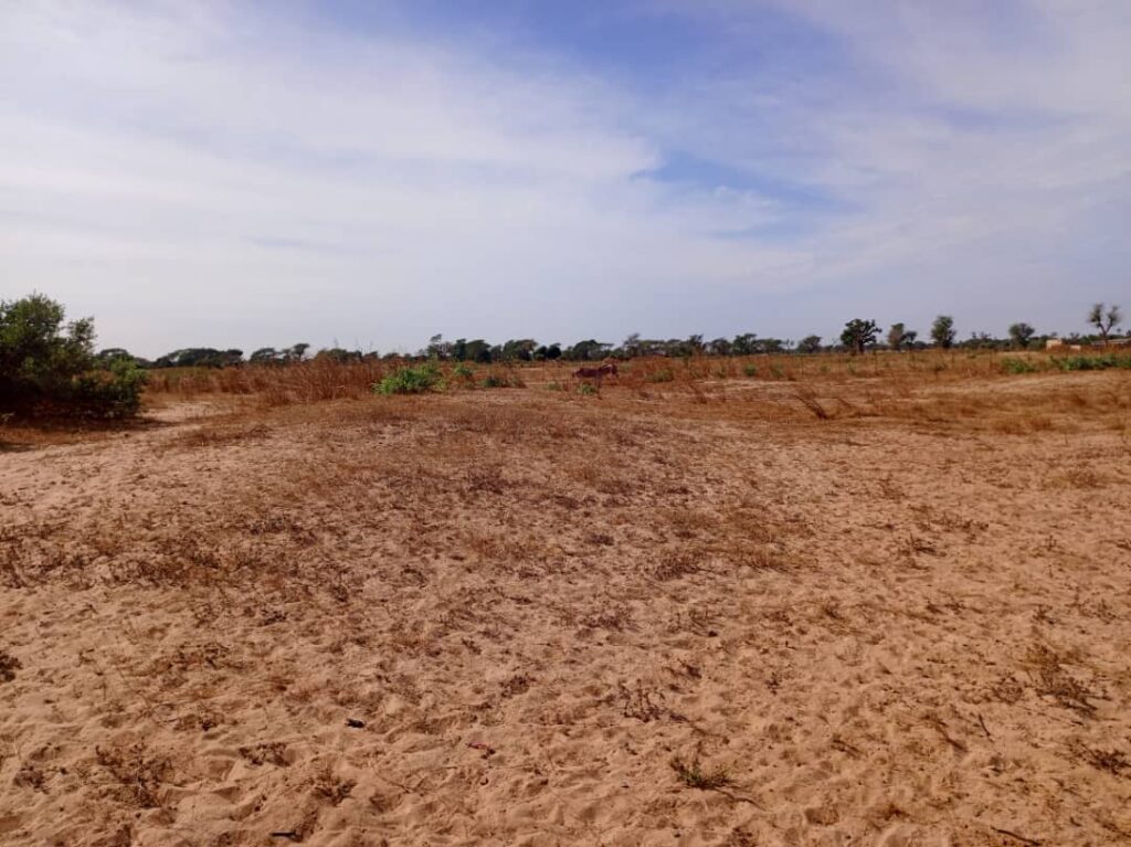 Terrain Agricole de 1,10 Hectare vers Tassette – Thiès