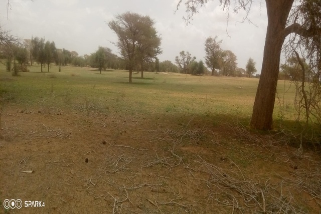 Terrain Agricole de 3 Hectares vers Koul – Tassette