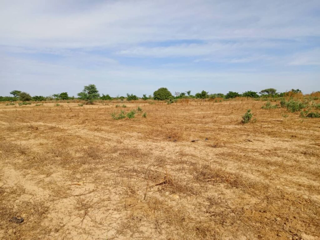 Terrain Agricole de 1,10 Hectare vers Tassette – Thiès