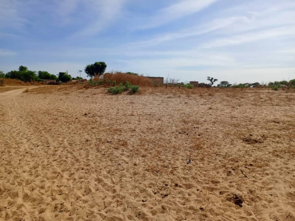 Terrain Agricole de 1,10 Hectare vers Tassette – Thiès