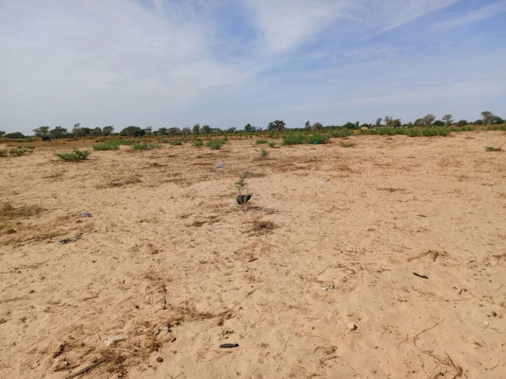 Terrain Agricole de 2,08 Hectares vers Tassette – Thiès
