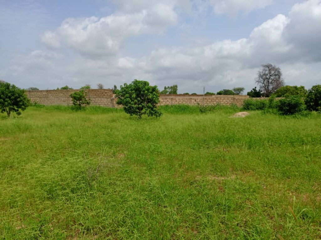 Verger de 2,07 Hectares vers Thiènaba – Thiès