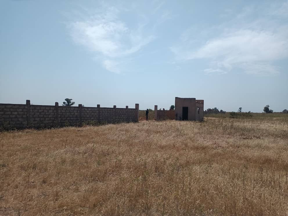 Verger de 6 Hectares vers Sandiara – Mbour