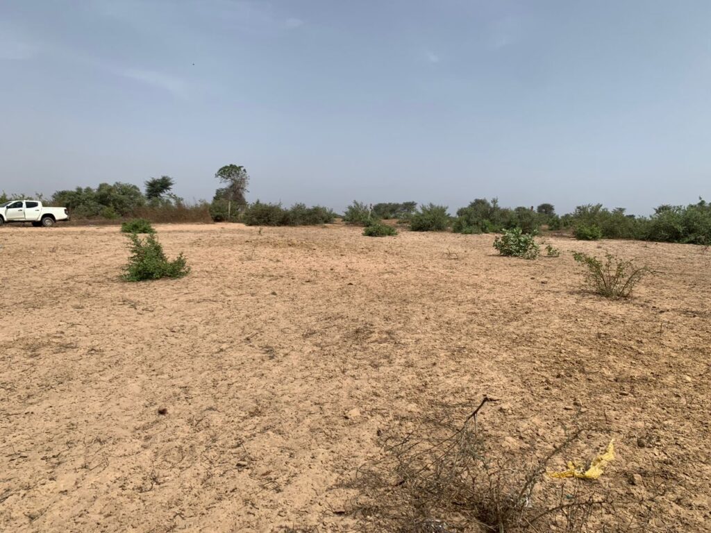 Verger de 2,27 Hectares vers Notto Diobass – Thiès