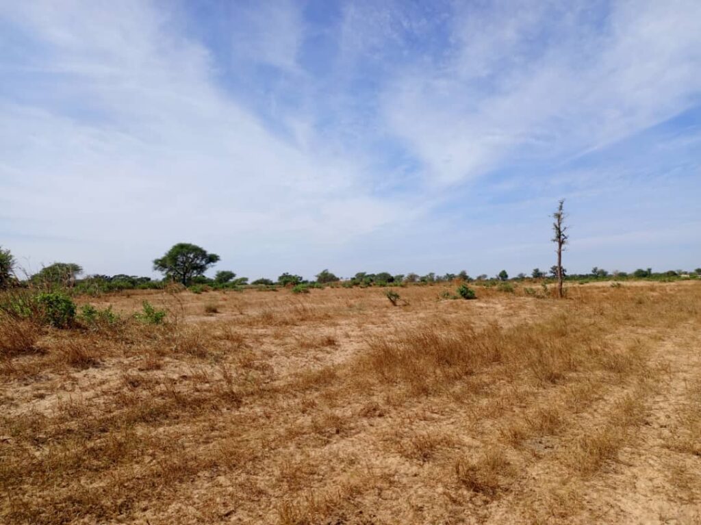 Terrain Agricole de 2,08 Hectares vers Tassette – Thiès