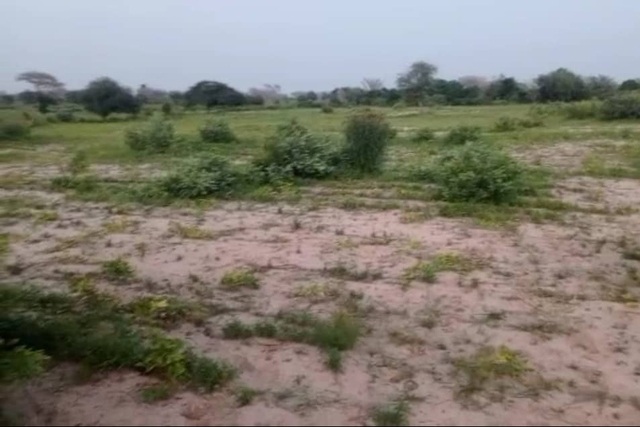 Terrain Agricole de 4 Hectares vers Koul – Thiès