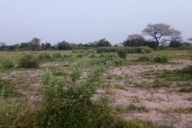 Terrain Agricole de 4 Hectares vers Koul – Thiès