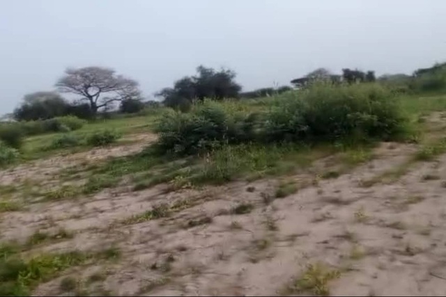 Terrain Agricole de 4 Hectares vers Koul – Thiès