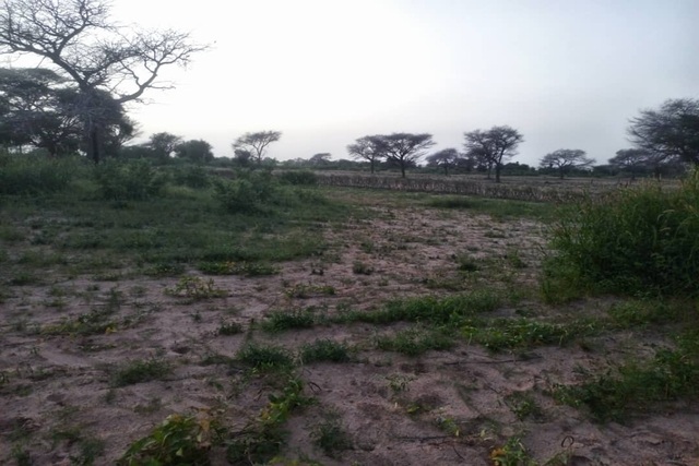 Terrain Agricole de 4 Hectares vers Koul – Thiès