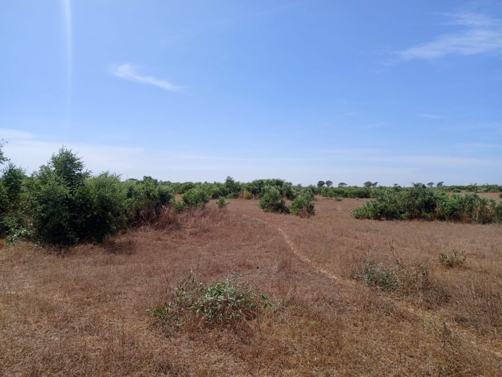Terrain Agricole de 6,90 Hectares vers Tassette – Thiès