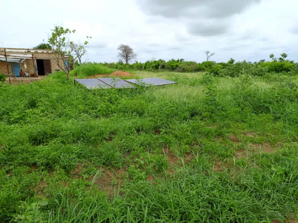 Verger de 1,03 Hectare vers Notto Diobass – Thiès