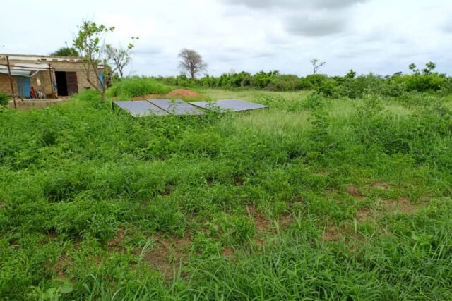 Verger de 1,03 Hectare vers Notto Diobass – Thiès