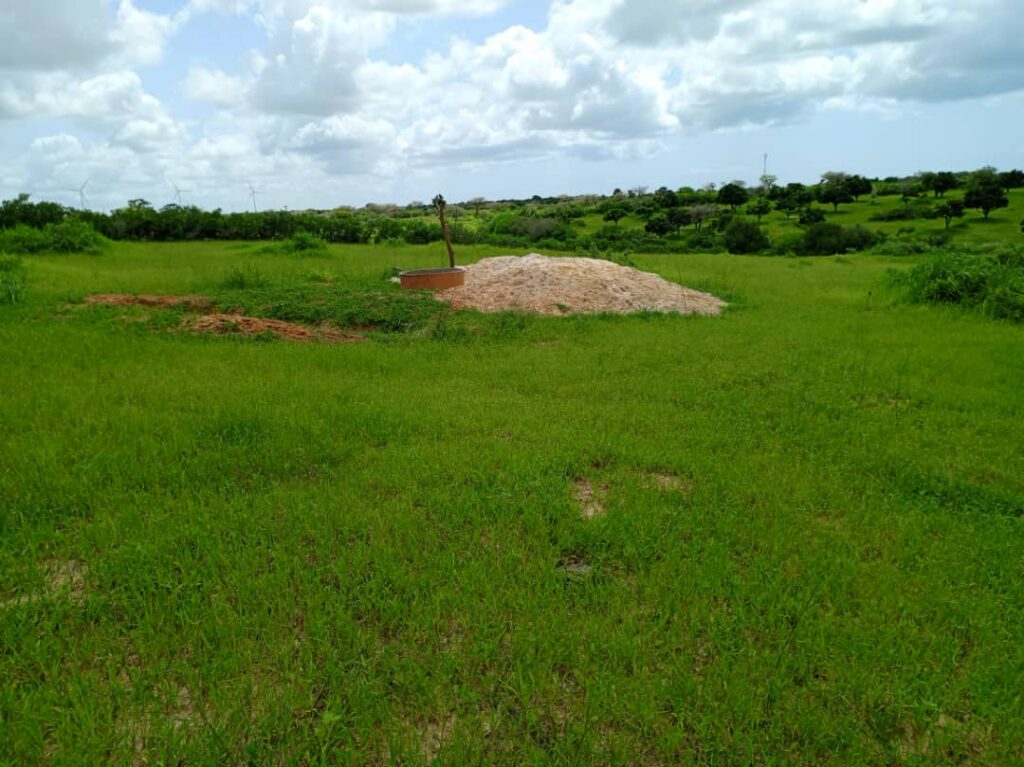 Verger de 2,03 Hectares vers Darou Khoudoss – Tivaouane