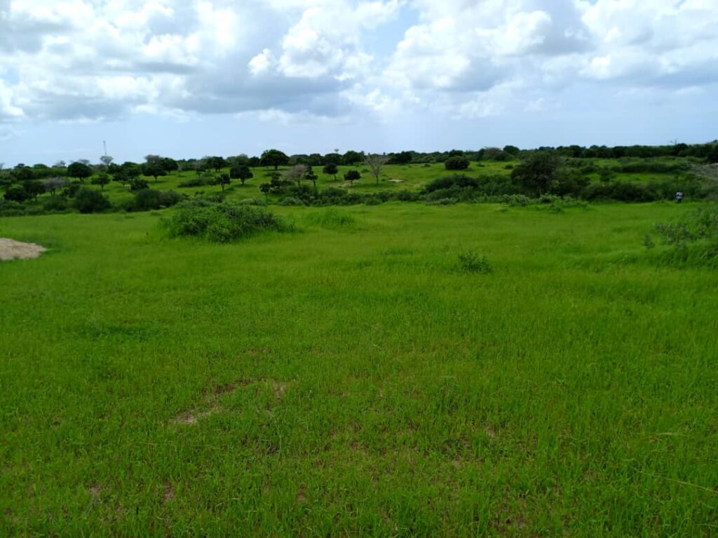 Verger de 2,03 Hectares vers Darou Khoudoss – Tivaouane