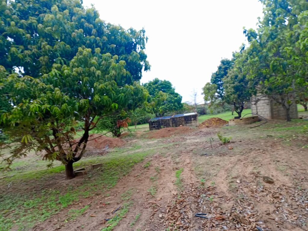 Verger de 2,62 Hectares vers Notto Diobass – Thiès