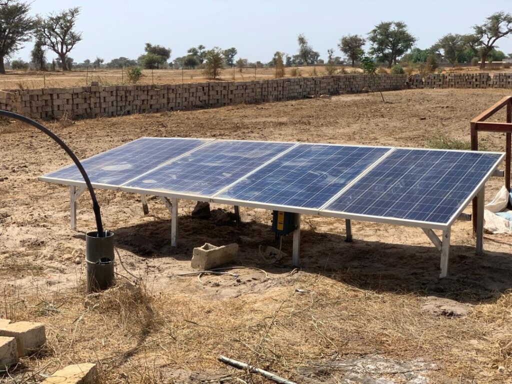 Location verger de 3,56 Hectares vers Thiénaba – Thiès