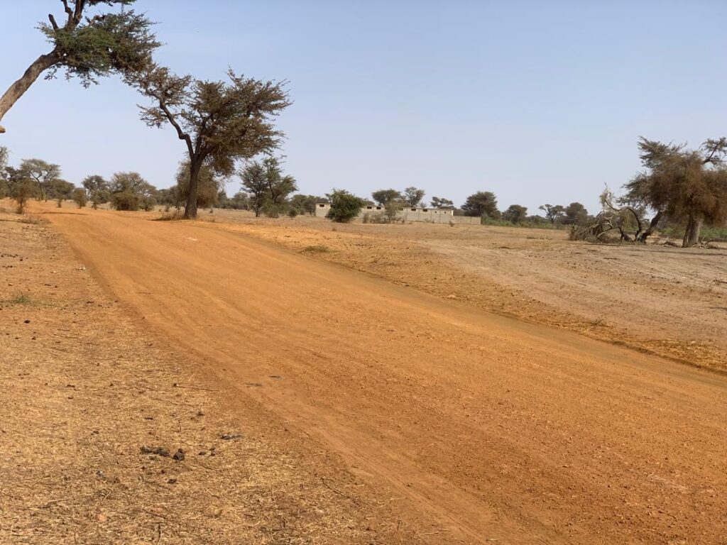 Location verger de 3,56 Hectares vers Thiénaba – Thiès