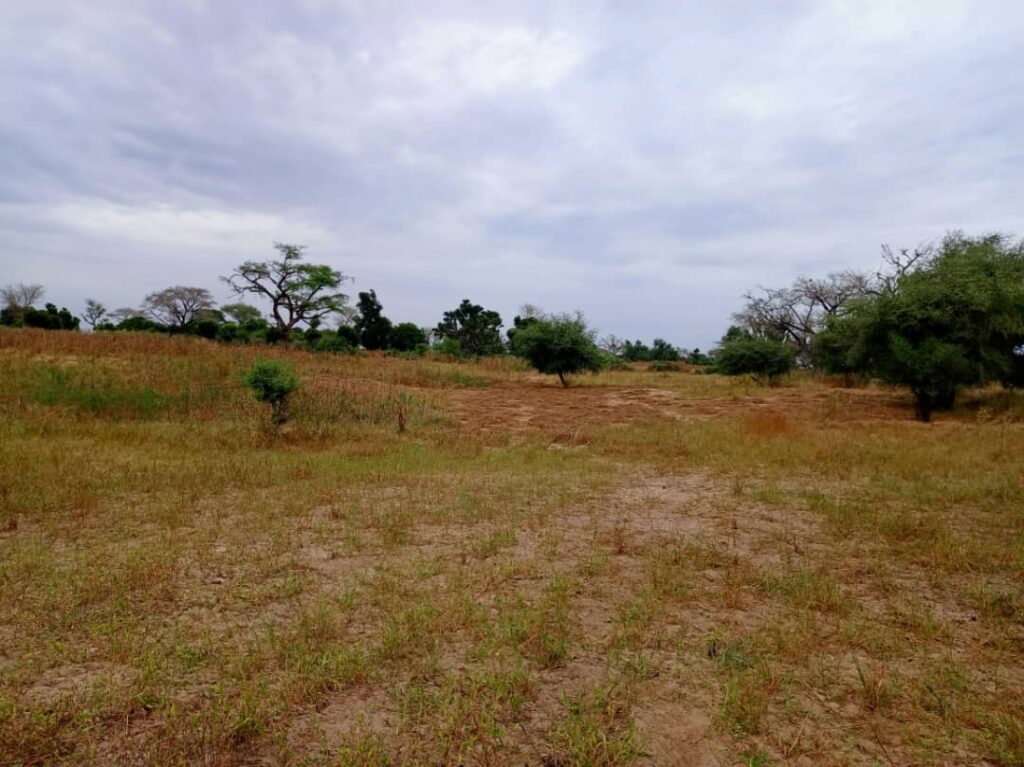 Terrain Agricole de 2,50 Hectares vers Notto Diobass – Thiès