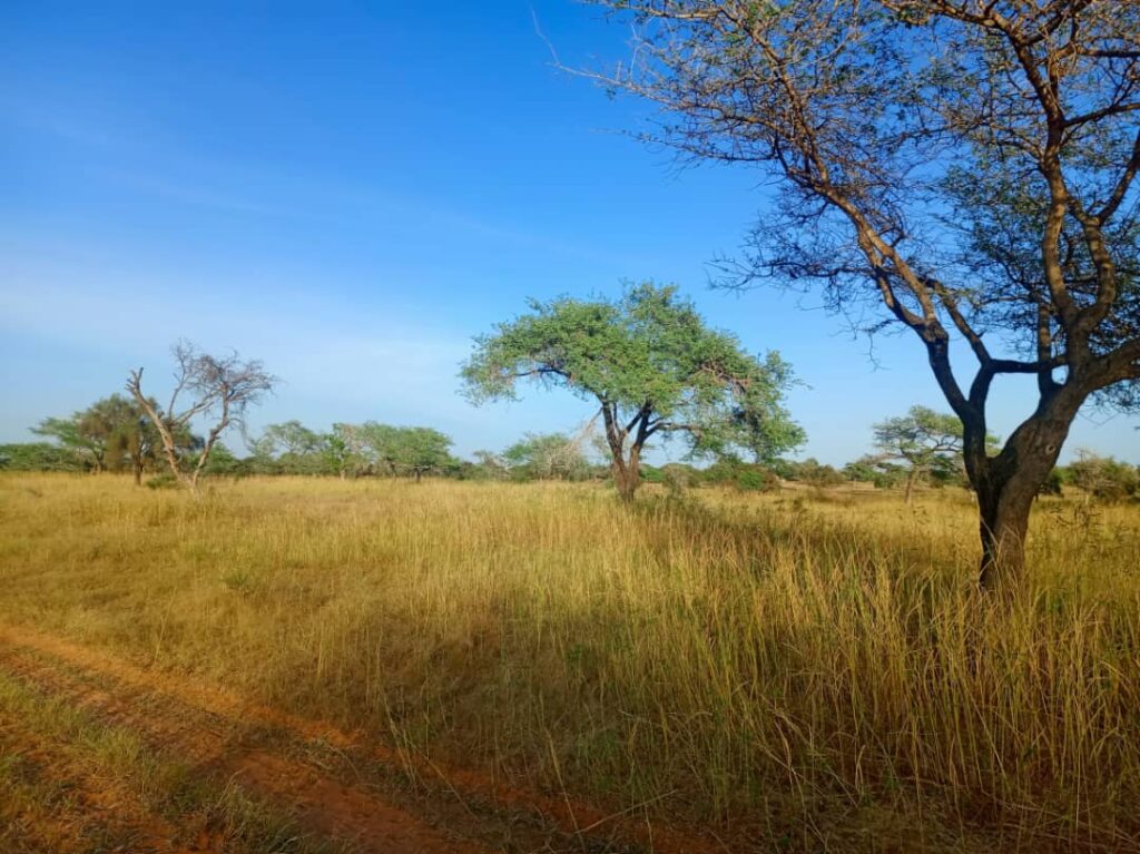 Terrain Agricole de 5,17 Hectares vers Thiolom Fall – kébémer