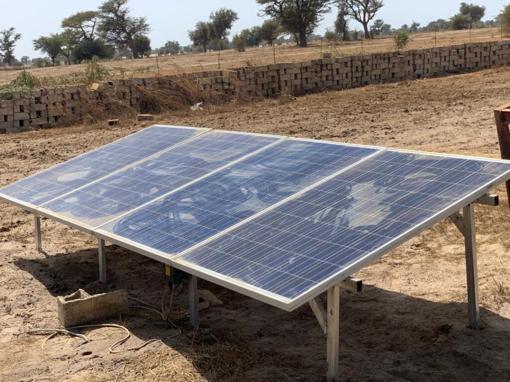 Location verger de 3,56 Hectares vers Thiénaba – Thiès