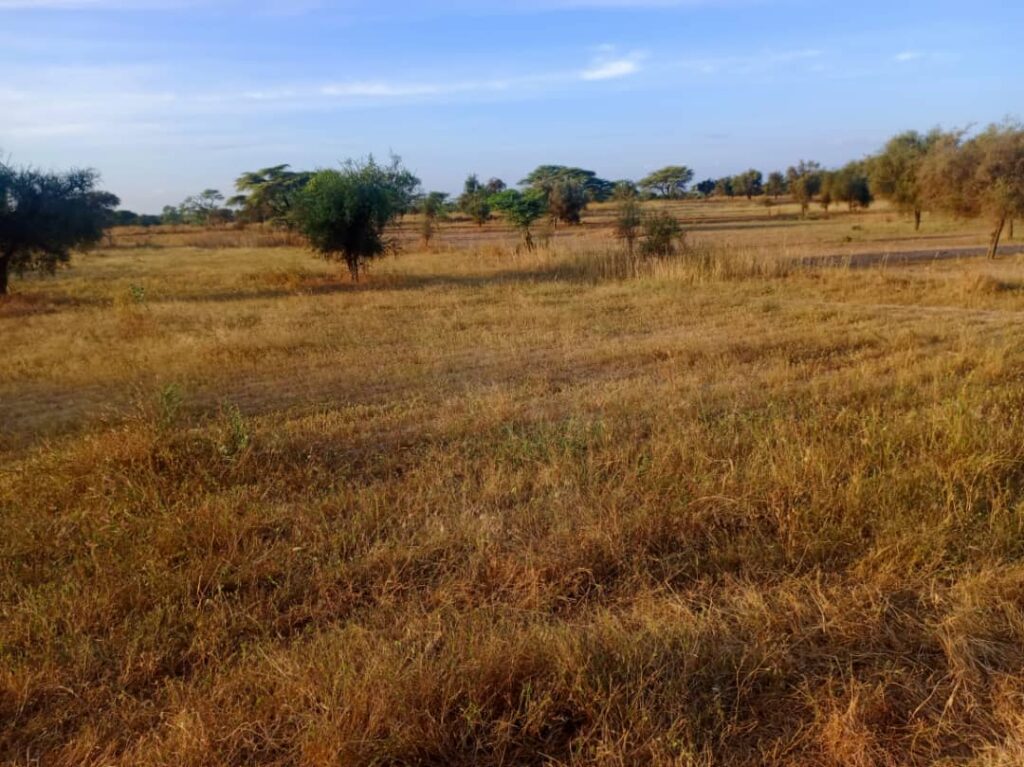 Terrain Agricole de 4,01 Hectares vers Thiolom Fall – Kébémer