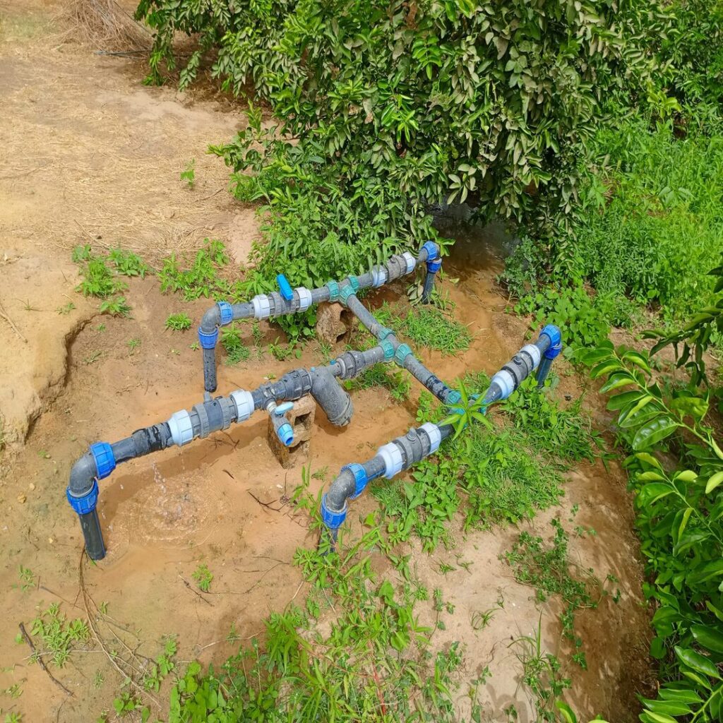 Verger de 3 Hectares vers Tassette – Thiès