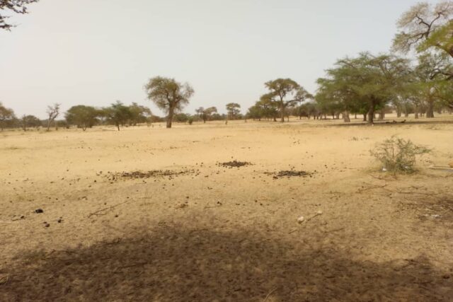 Terrain de 4356 mètres carrés ouvert sur piste vers Baba Garage