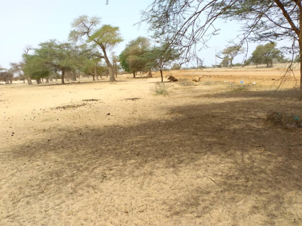 Terrain de 4356 mètres carrés ouvert sur piste vers Baba Garage