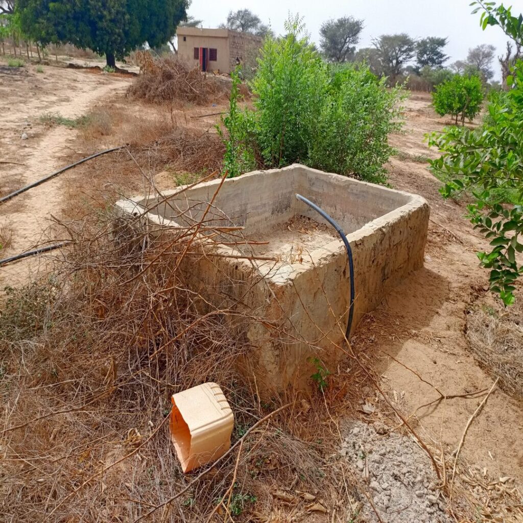 Verger de 3 Hectares vers Tassette – Thiès