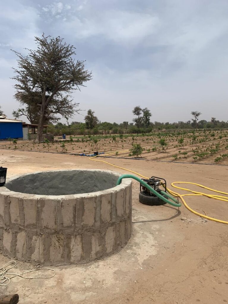 Ferme de 1,92 Hectare vers Ndiaganiao – Mbour