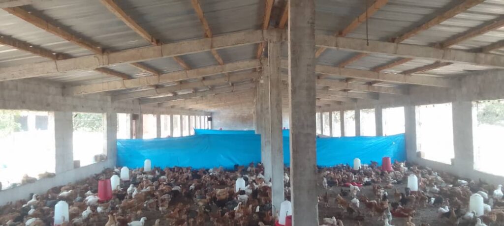 Ferme de 1,72 Hectare vers Diender – Thiès