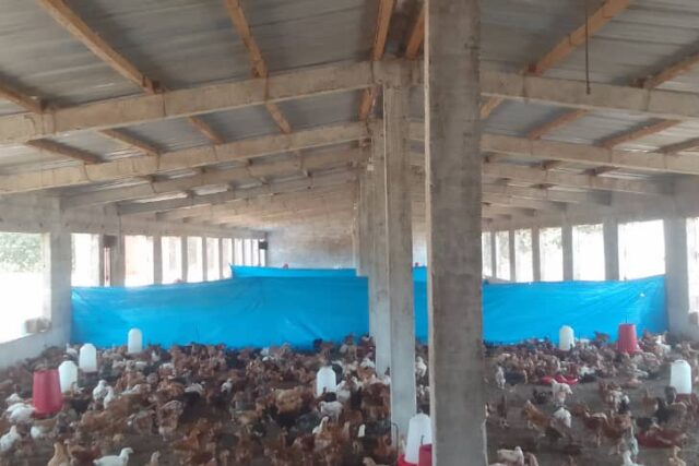 Ferme de 1,72 Hectare vers Diender – Thiès