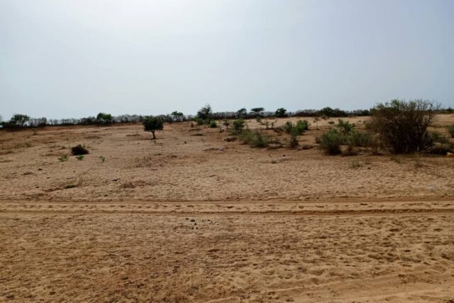 Terrain de 3,30 Hectares en bordure de la RN2 vers Louga