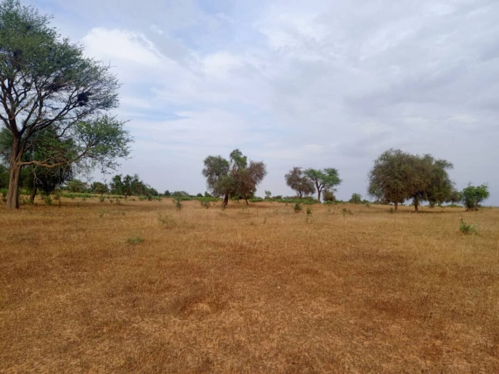 Terrain Agricole de 4,28 Hectares au bord de la route vers Sagatta – Kébémer