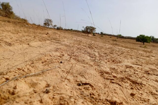 Terrain de 3,30 Hectares en bordure de la RN2 vers Louga