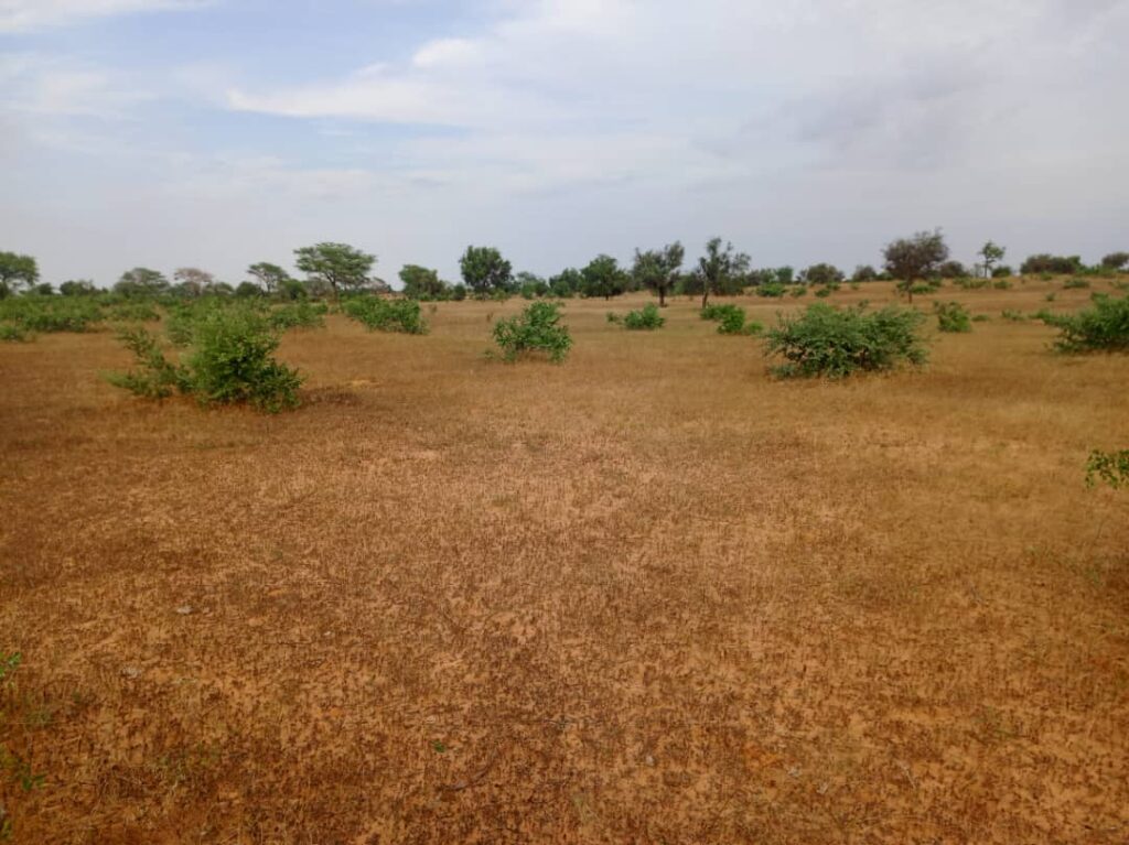 Terrain Agricole de 4,28 Hectares au bord de la route vers Sagatta – Kébémer