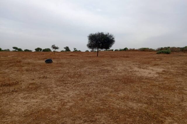 Terrain Agricole de 7783 M² vers Tassette – Thiès