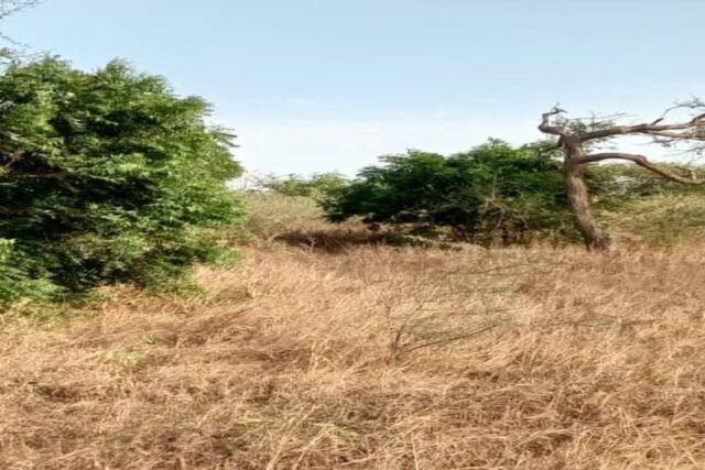 Terrain Agricole de 2 Hectares vers Darou Khoudoss – Tivaouane