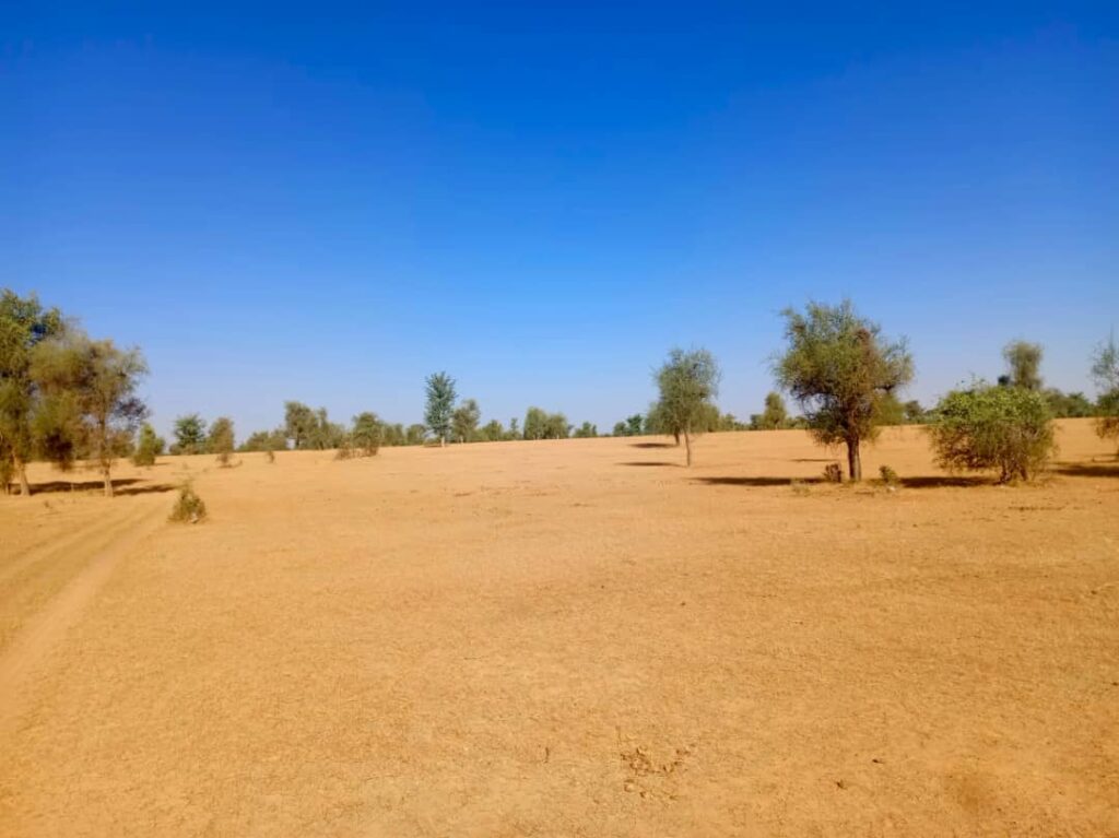 Terrain Agricole de 2,96 Hectares vers Mbadiéne – Kébémer
