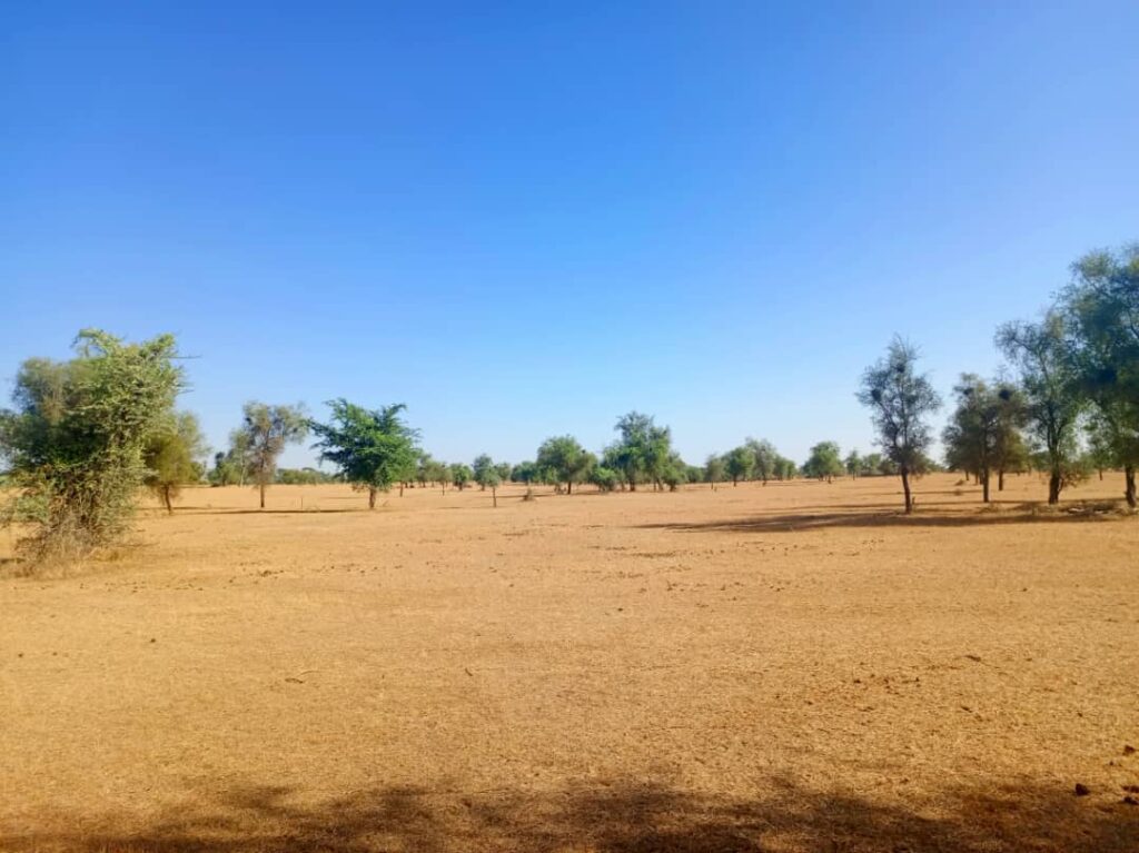 Terrain Agricole de 2,96 Hectares vers Mbadiéne – Kébémer