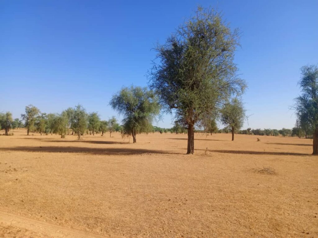 Terrain Agricole de 2,96 Hectares vers Mbadiéne – Kébémer