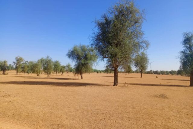 Terrain Agricole de 2,96 Hectares vers Mbadiéne – Kébémer