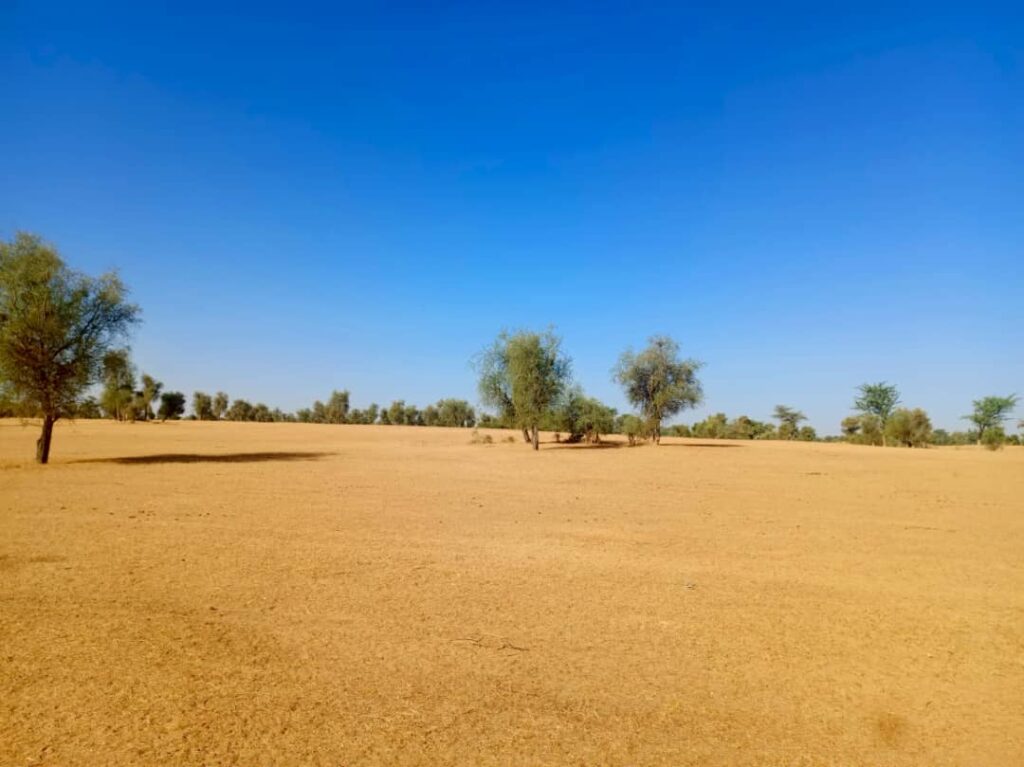 Terrain Agricole de 2,96 Hectares vers Mbadiéne – Kébémer