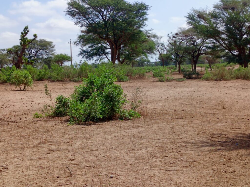 Terrain Agricole de 4 Hectares vers Thiénaba – Thiès